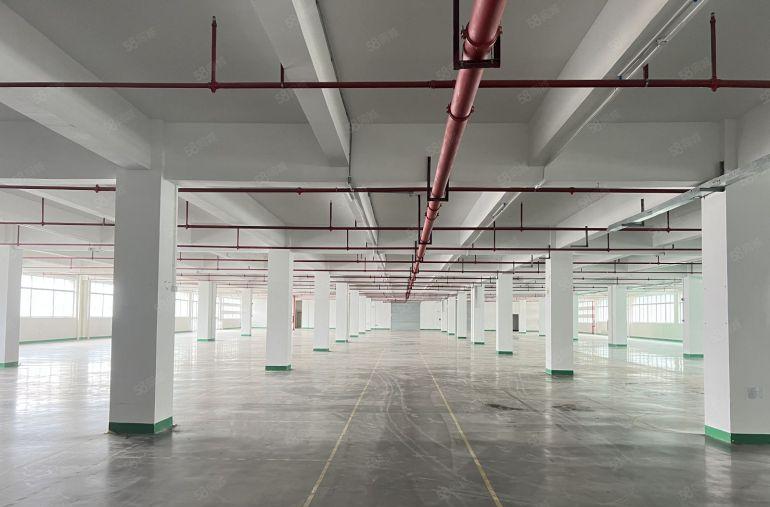 惠阳秋长新出原房东楼上4000平厂房仓库特价出租形象好带装修