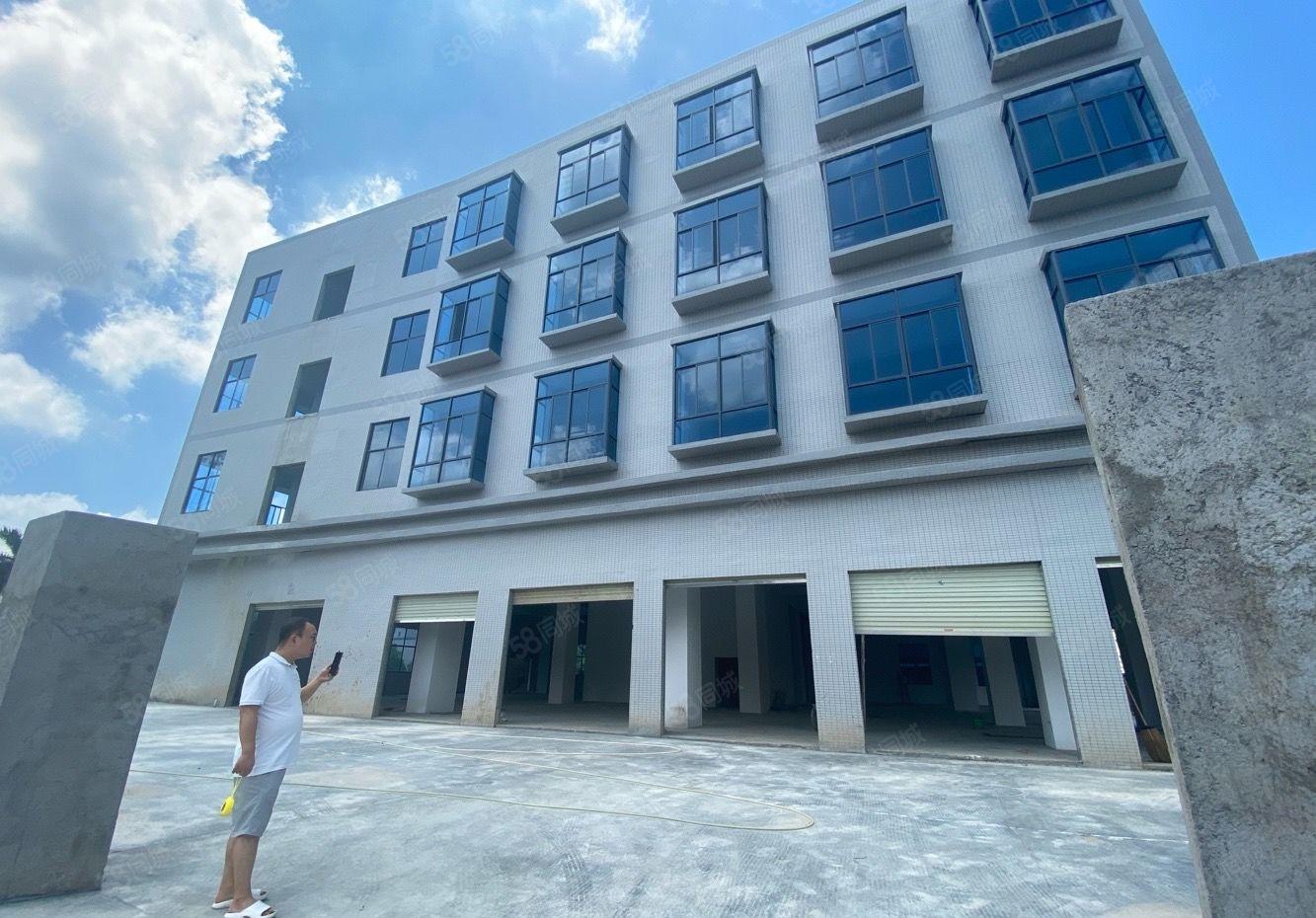 新圩原房东红本6000平独栋全新厂房出租临深临莞路段可分租