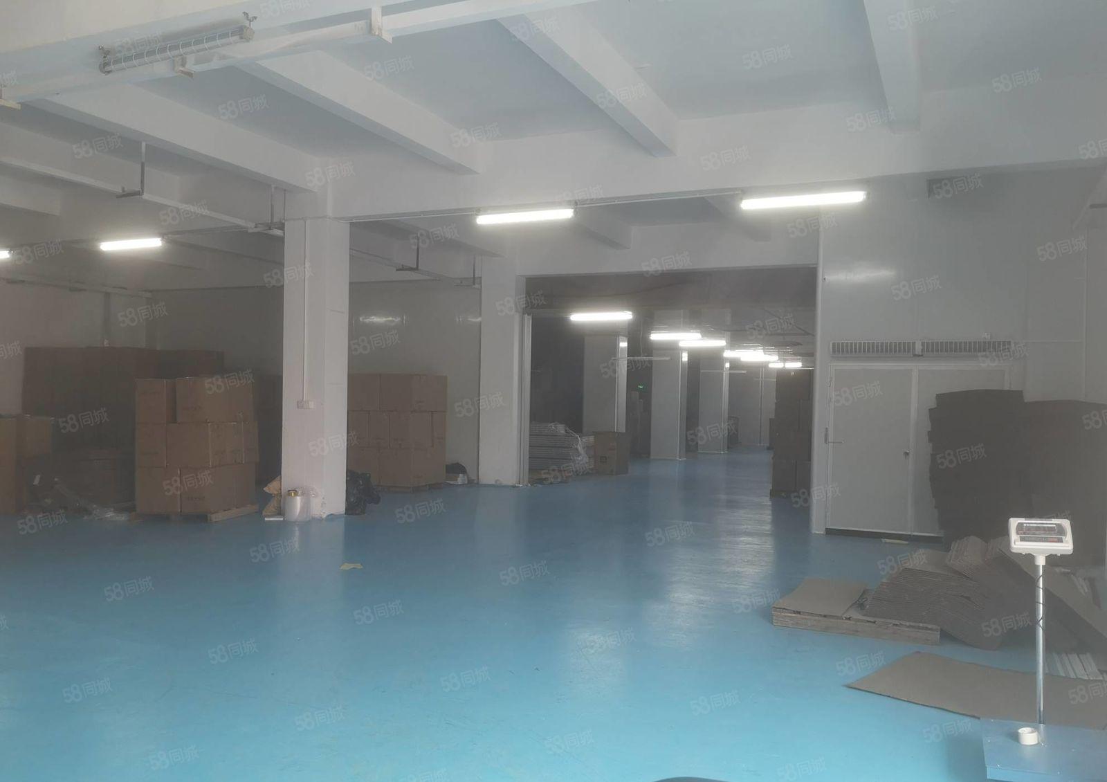 镇隆成熟工业区 原房东独院3600平厂房出租 豪华装修可分租