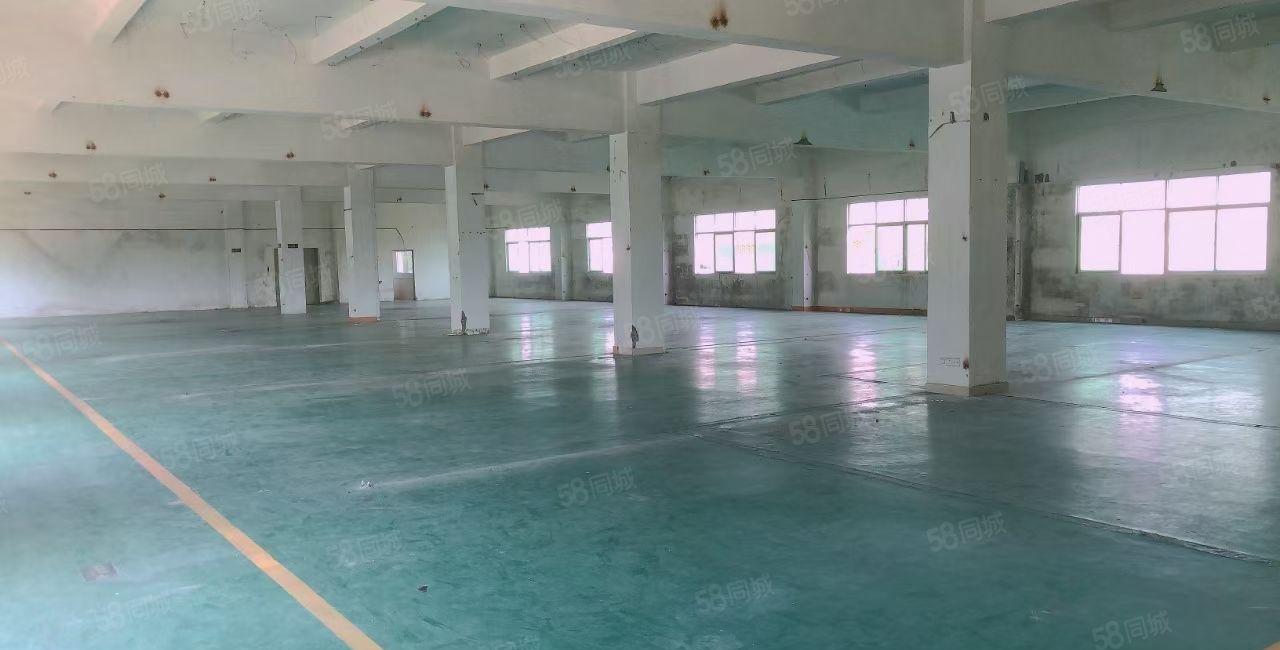 惠阳镇隆万里工业区原房东红本独院6600平方