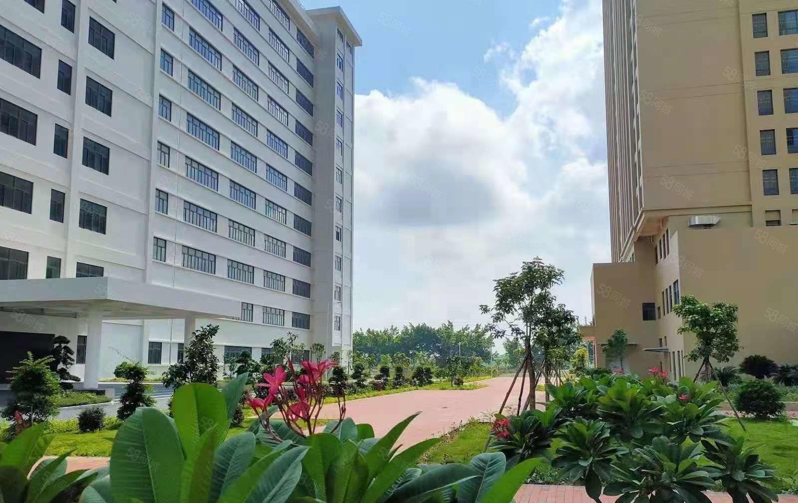 秋长原房东全新厂房，证件齐全，大小可分租