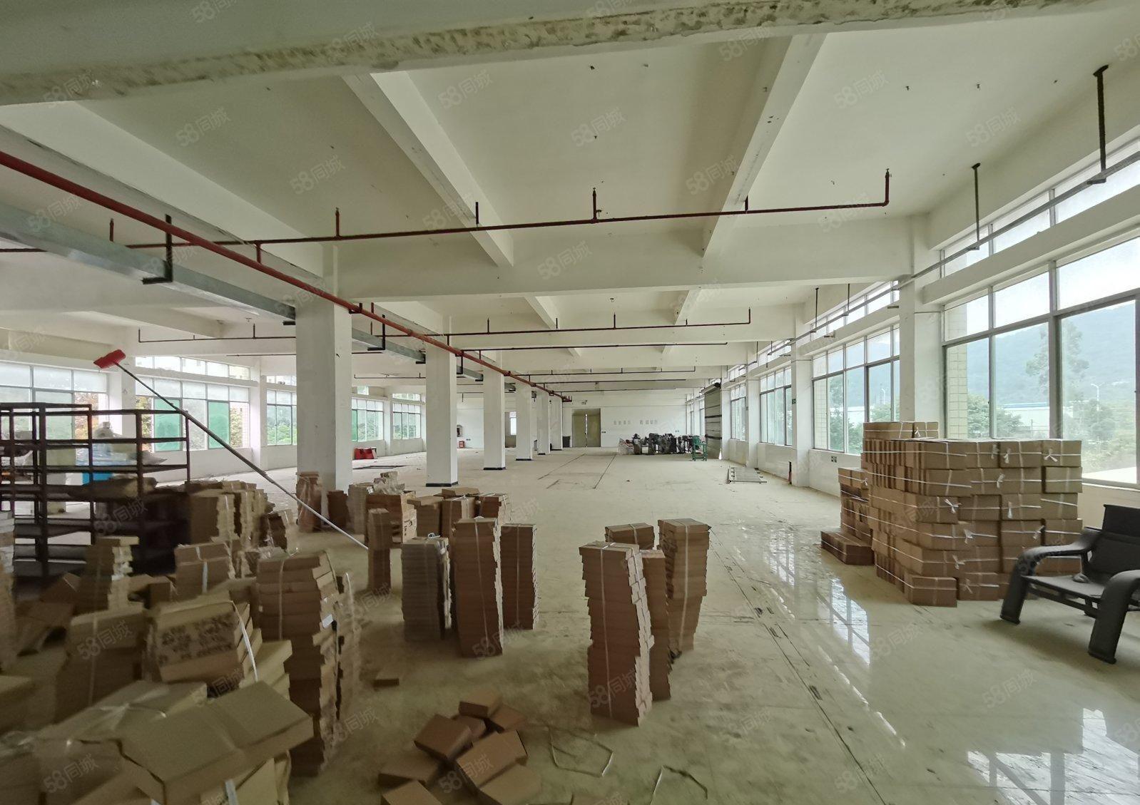 惠阳三和零公摊厂房2400平方可分租，可办环评  独门独院