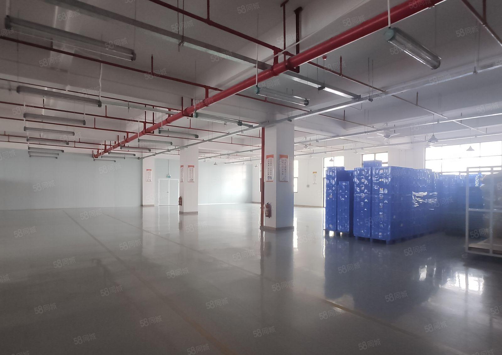 10元起惠阳沙田原房东红本5000平一楼厂房仓库出租可小污染