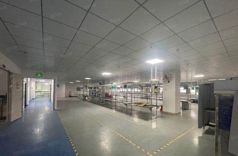 无转让费豪华装修厂房低价出租水电齐全流水线免费使用惠阳秋长