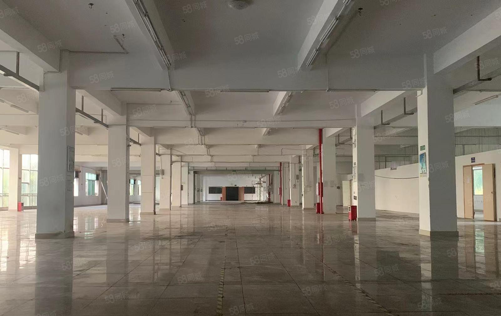 惠阳秋长茶园独门独院标准厂房20000平出租带精装修可分租。