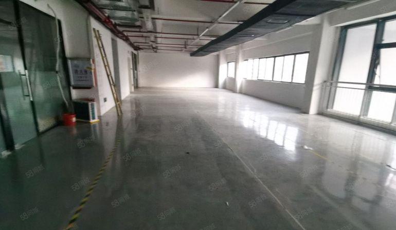 价格8元!  镇隆皇后楼上1180平带装修厂房出租可分租