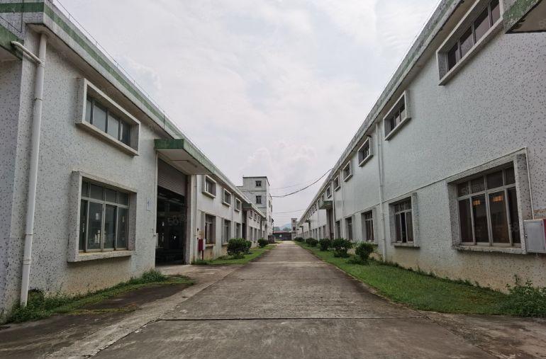 2000平米一栋起租  惠阳新圩钢构厂房3万平米长220米