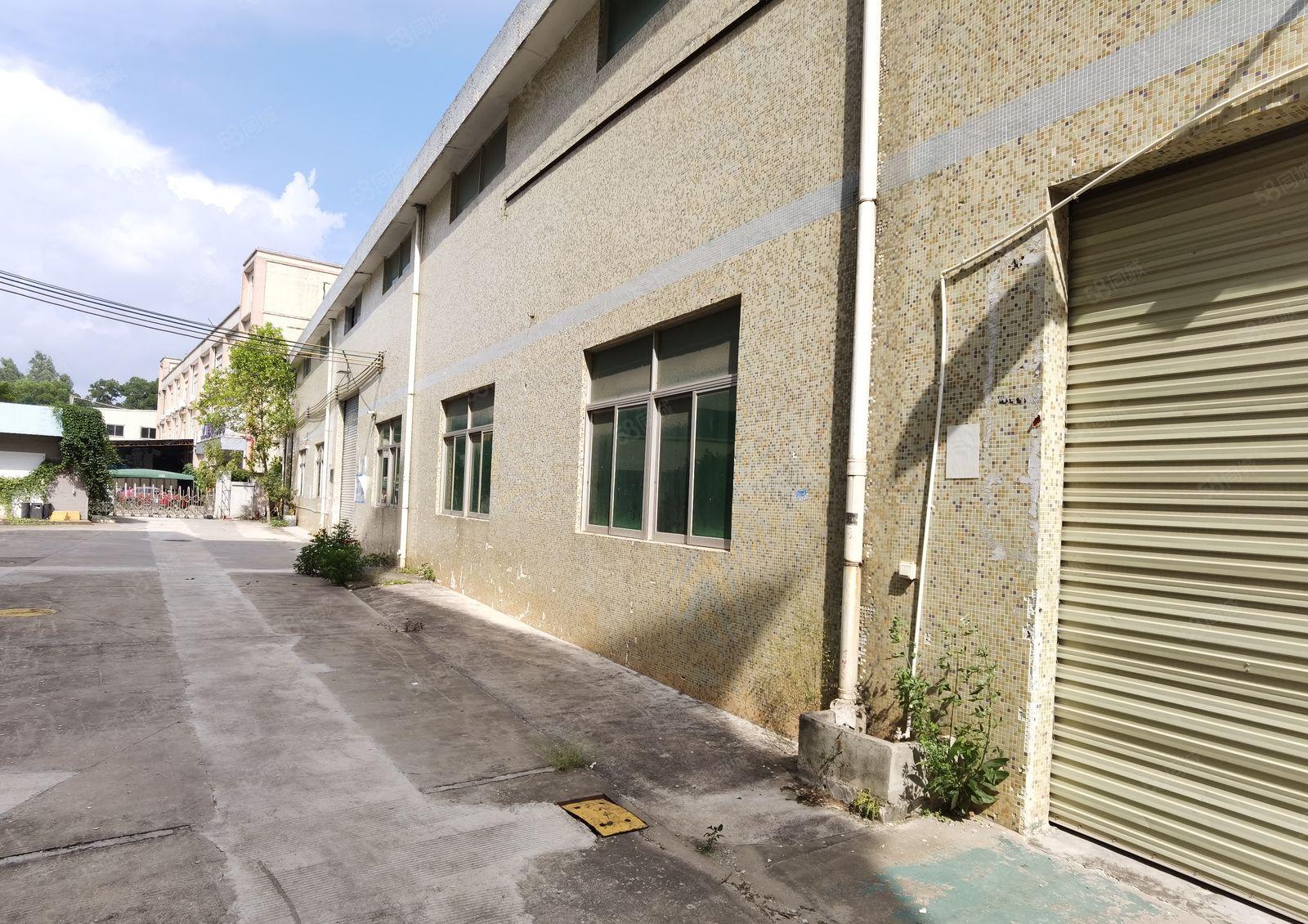 新圩 原房东1600平方独院钢构厂房出租仓库出租现成办公室