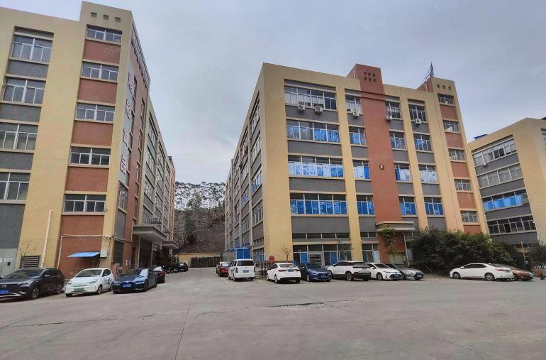 8元！沙田镇2000平现成装修办公室原房东厂房出租