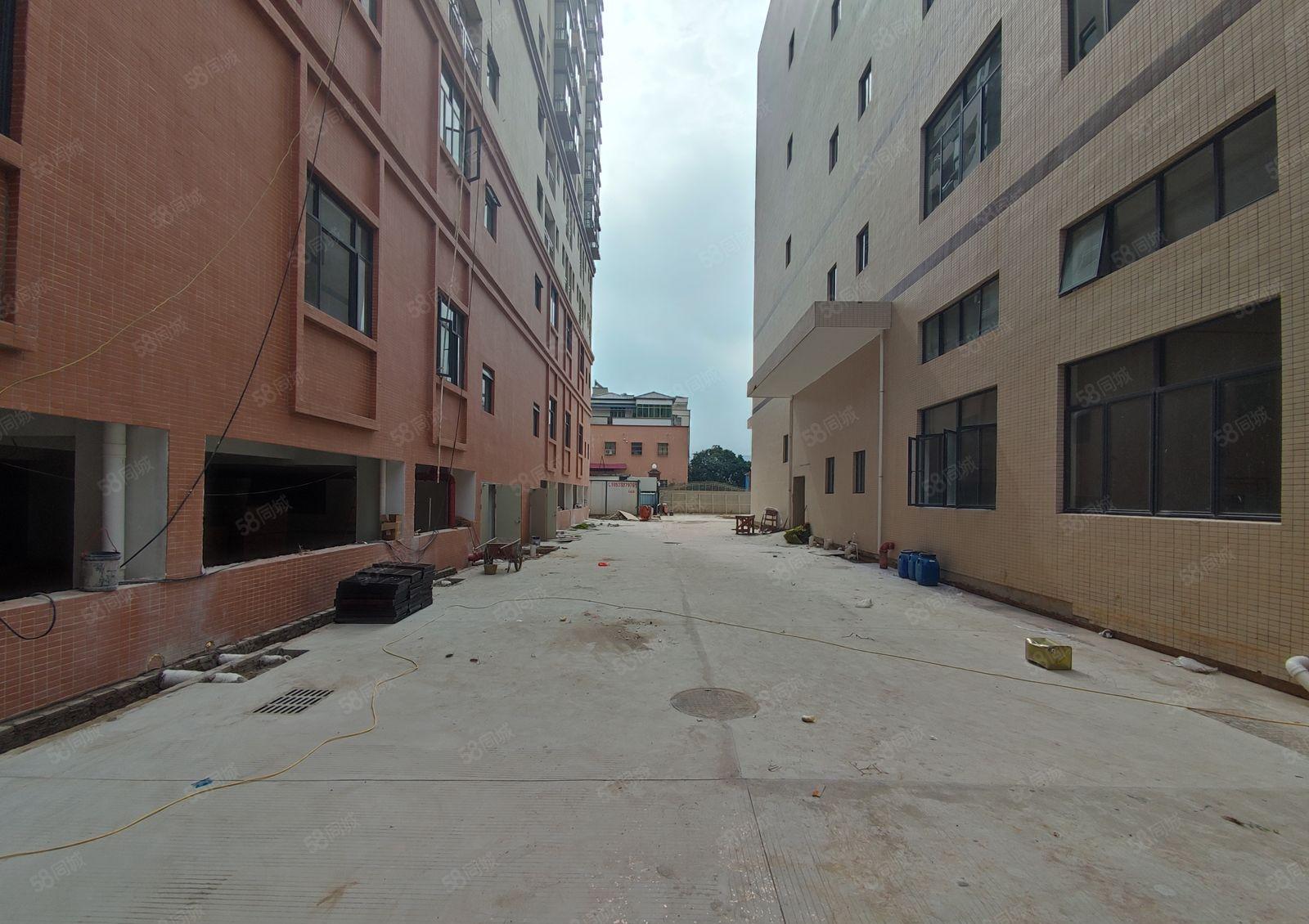 （7000独院）沙田镇田头村全新原房东标准厂房出租，