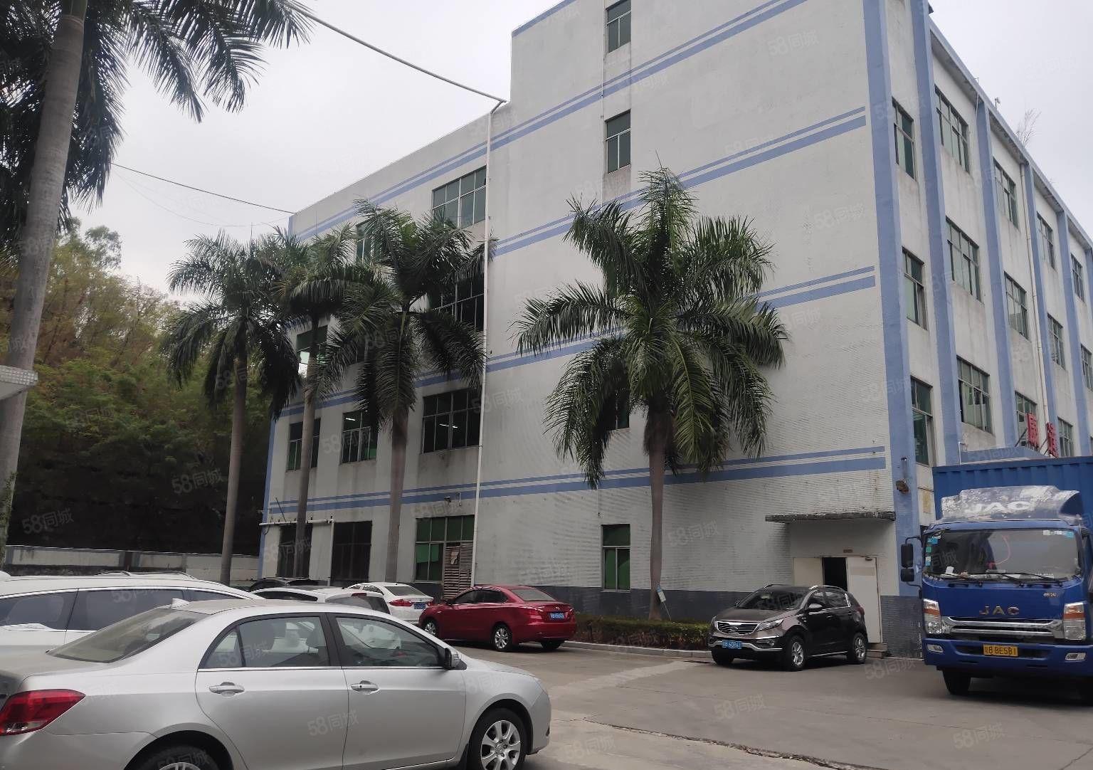 惠阳秋长5万平原房东工业园带装修厂房出租300平分租一楼6米