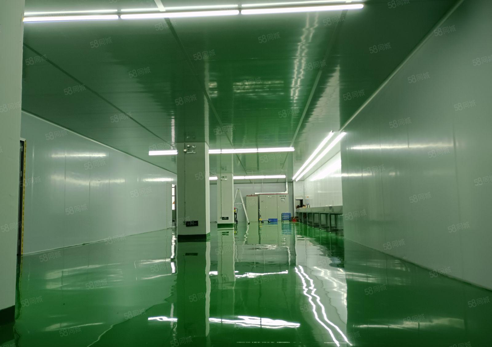 淡水街道全新3000标准无尘车间出租，独立园区变压器电按需