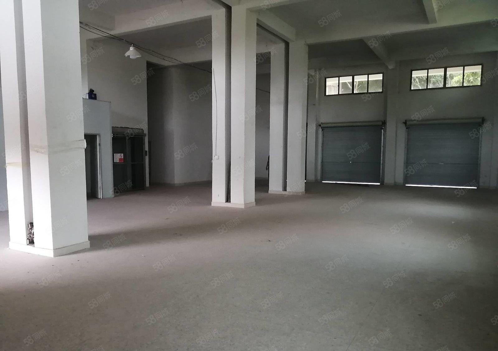 惠阳白石新出原房东标准厂房一楼300平实际面积