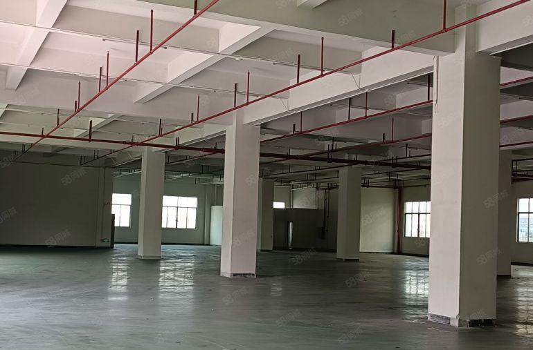 惠阳镇隆万里工业区原房东红本独院标准厂房11300平方米