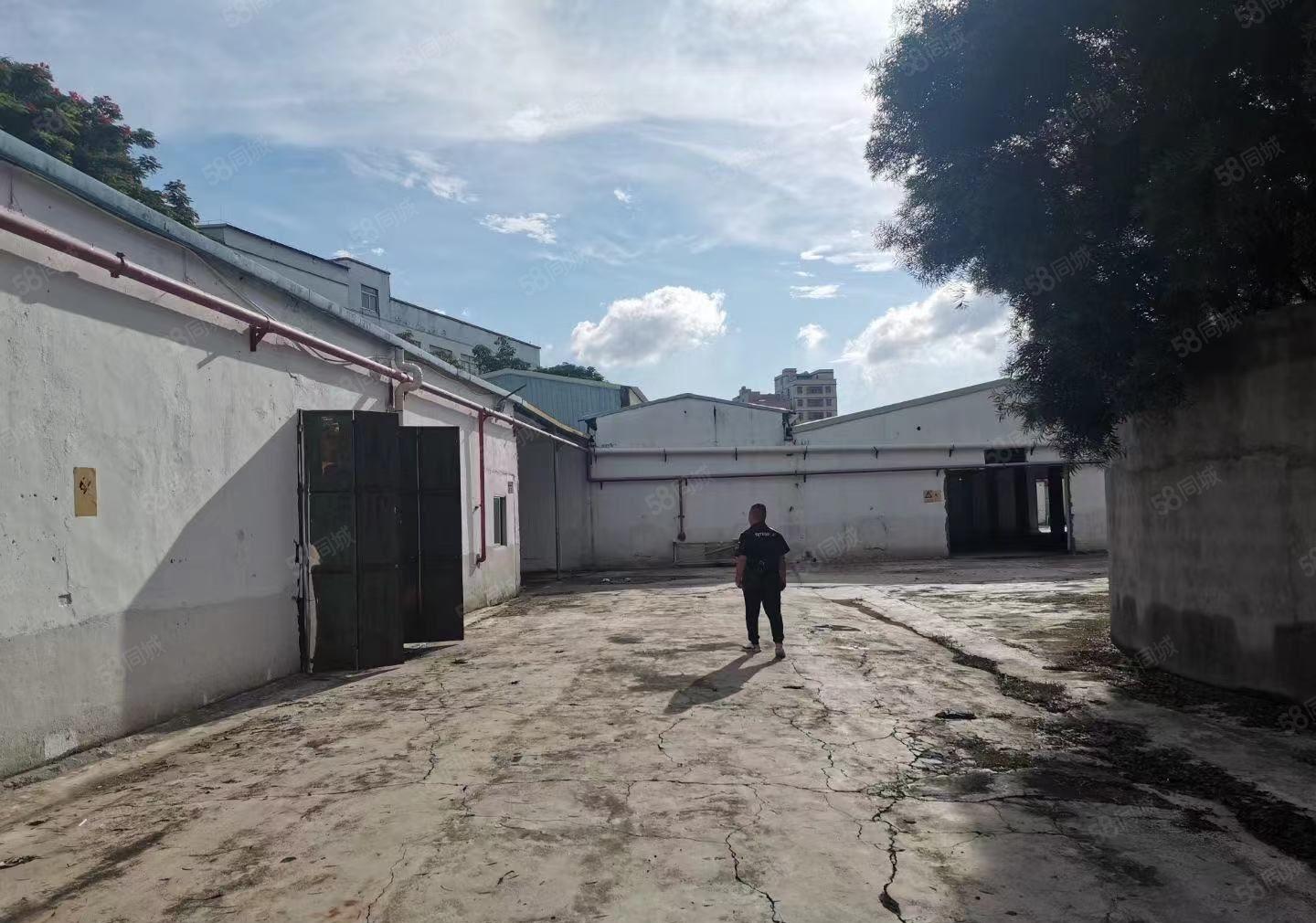 沙田新出钢构经典小独院，3000平