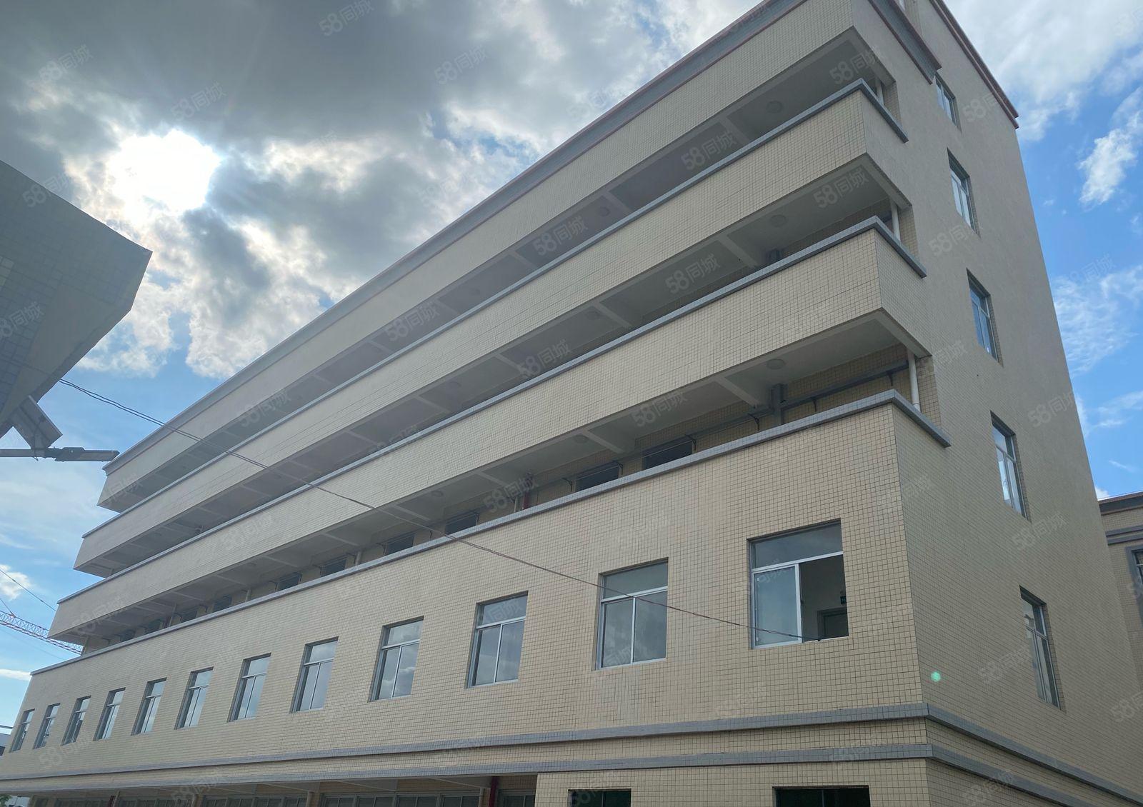 全新宿舍出租（可厂房配套）