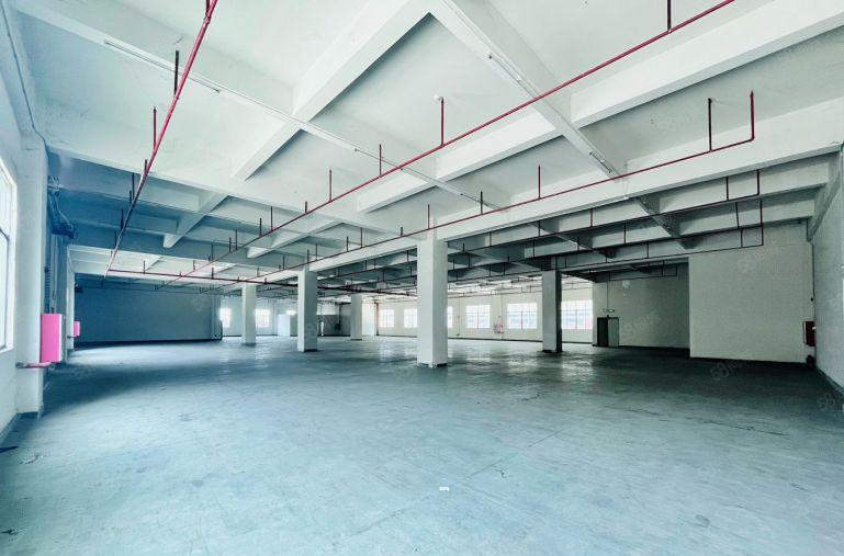 6块租镇隆高速口原房东独门独院11300平红本厂房可分租