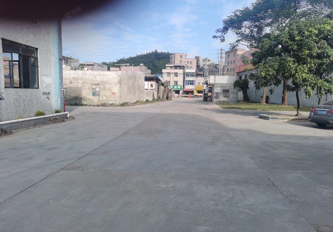 可分租！惠阳新圩独门独院钢构厂房出租8万方国道旁临深路段