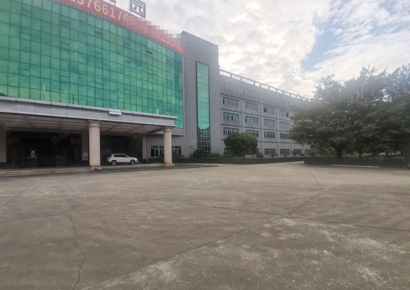 新圩花园式红本标准厂房四万平米出租，原房东无公摊，空地超大！