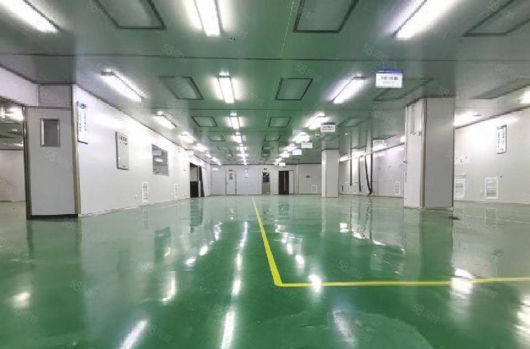 惠阳低价无尘车间厂房出租 无转让费 精装修10元 可分租