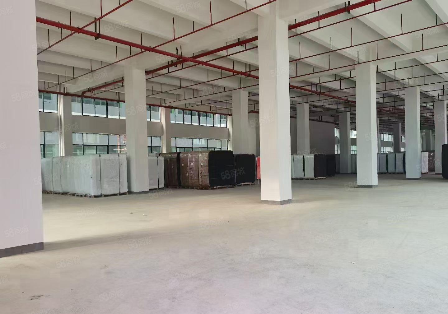 红本厂房出租可围独门独院