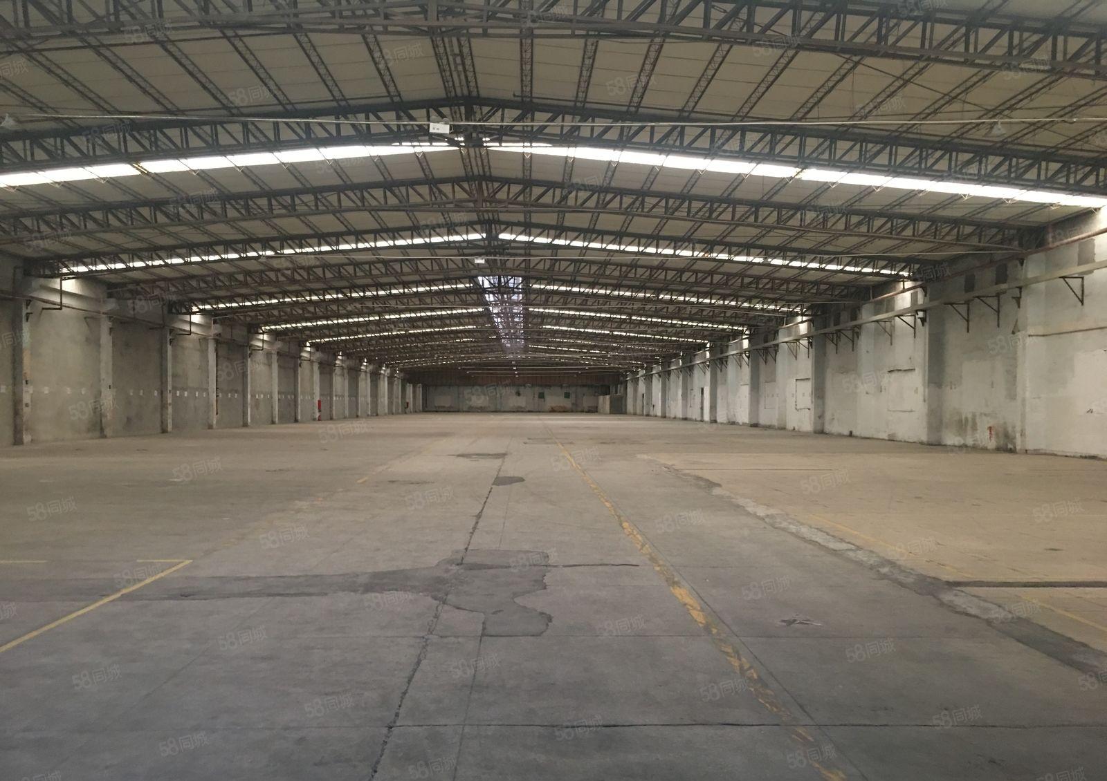 新墟创新工业区原房东7100平钢构仓库厂房出租可分租