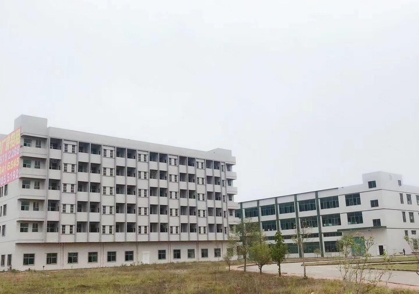 惠州市新圩镇原房东独门独院88000平方标准厂房招租