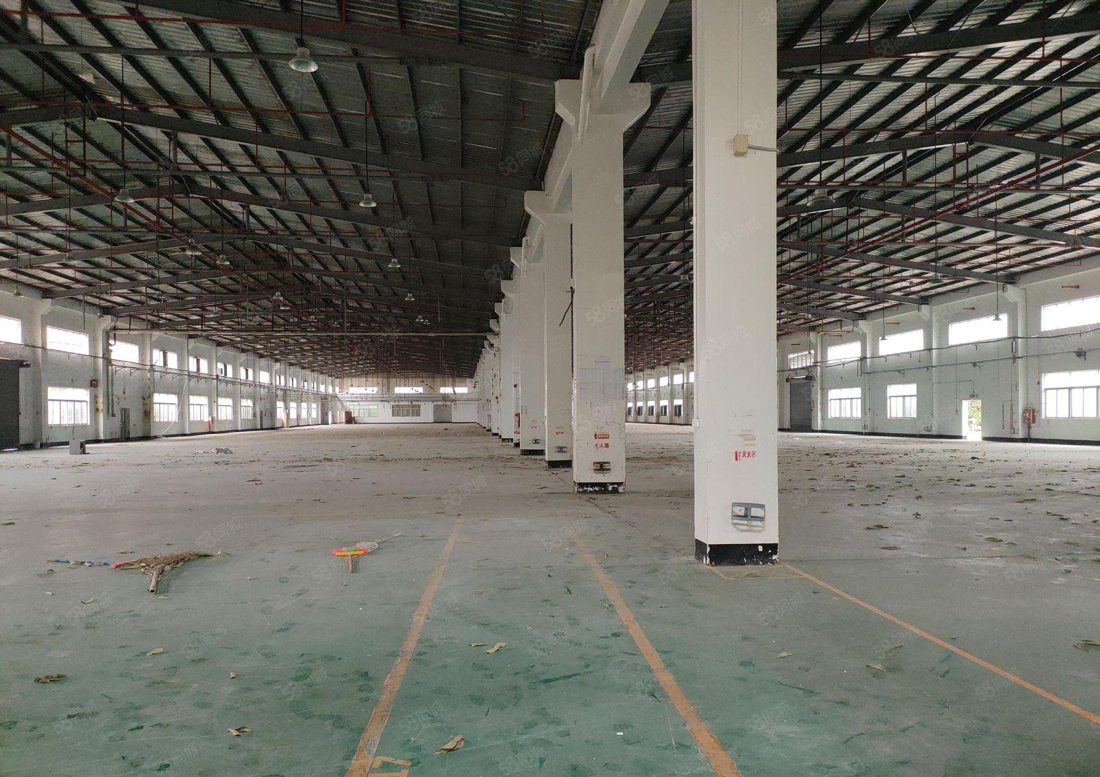 单一层10米高钢结构厂房出租，共10000平方，可分租