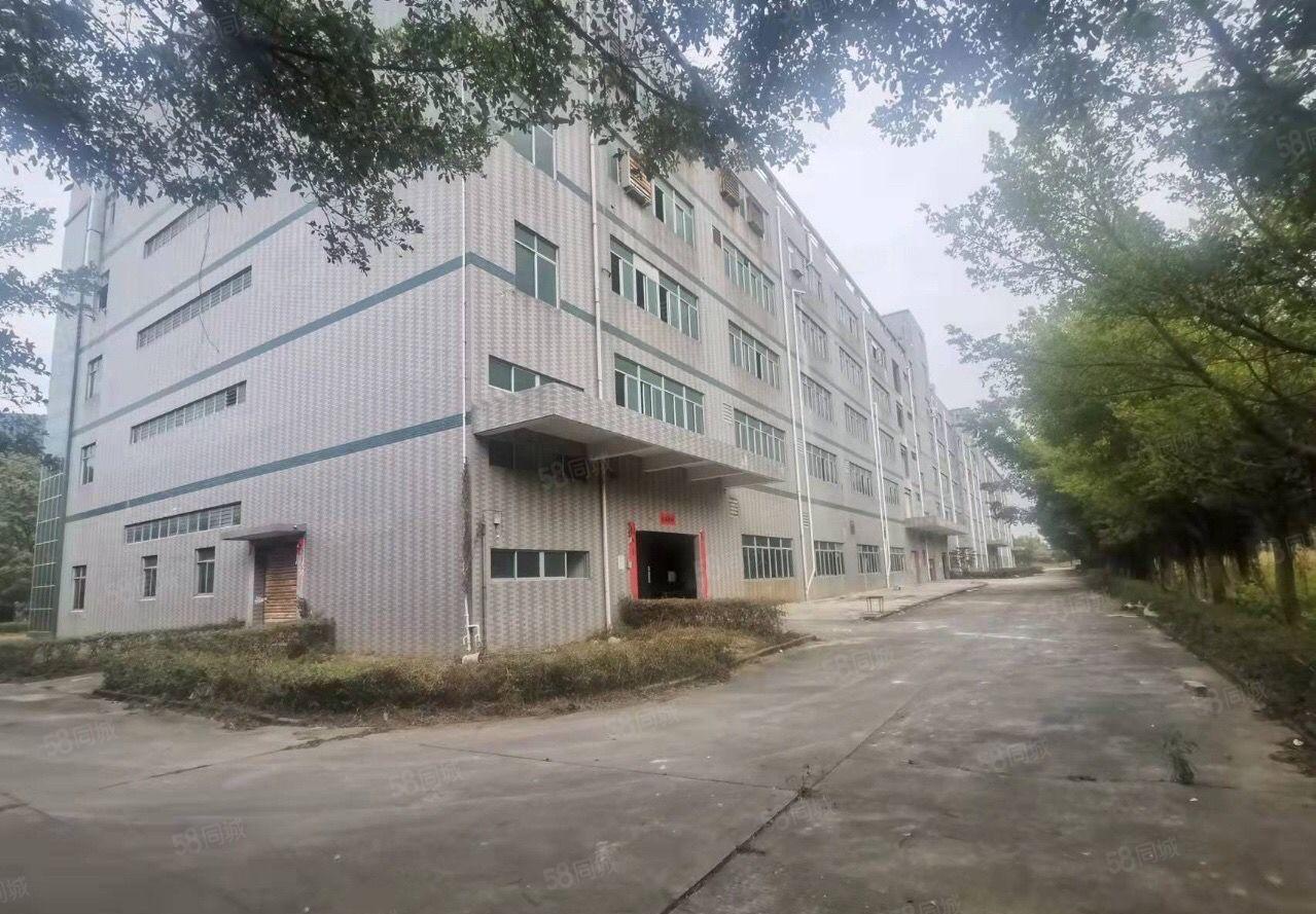惠阳新圩原房东工业园占地六万平厂房独栋五层30000出租