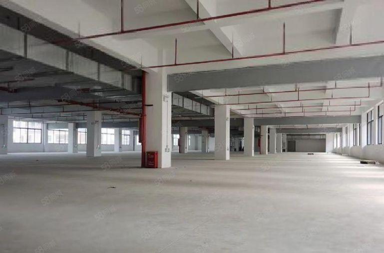 惠州镇隆9元。原房东2000平方厂房仓库低价出租大小可分