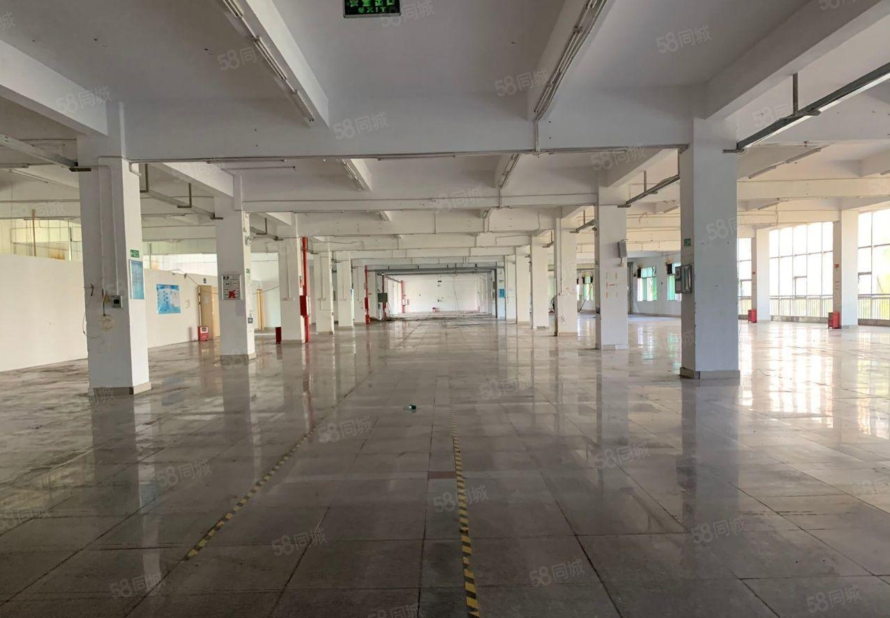 惠阳秋长新出独院红本厂房2.8万平一楼7米高秒办环评空地超大