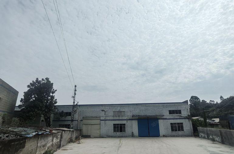 新墟厂房出租独门独院4800平新圩带环评可仓库出租工业用地