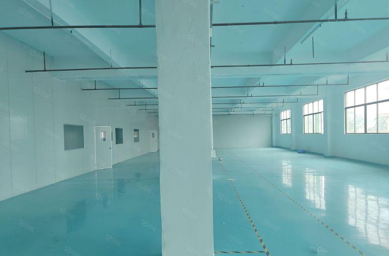 惠阳秋长白石靠新塘原房东3层经典小独院低价出租