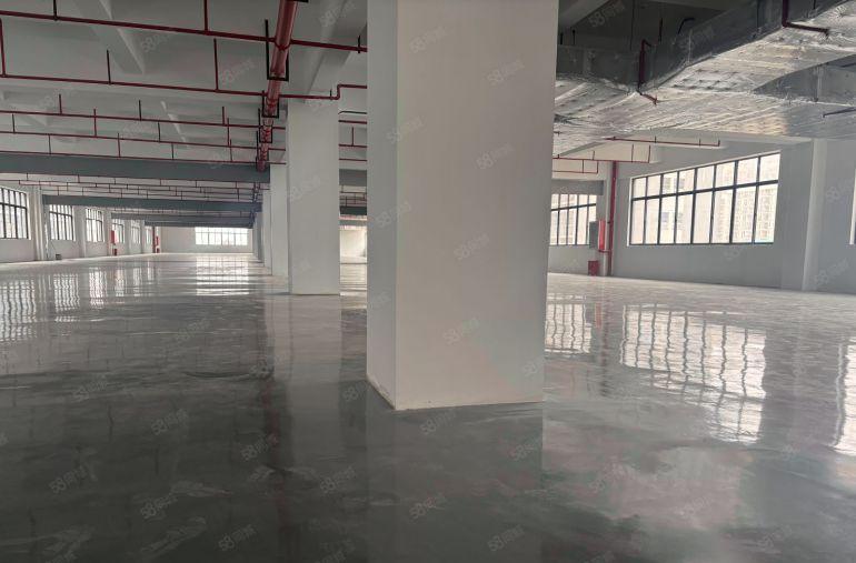 8元！镇隆高速口新出4000平原房东红本厂房仓库出租