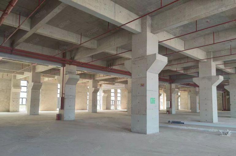 惠阳临深红本厂房，无套路无公摊开发商直租，好招工，配套齐