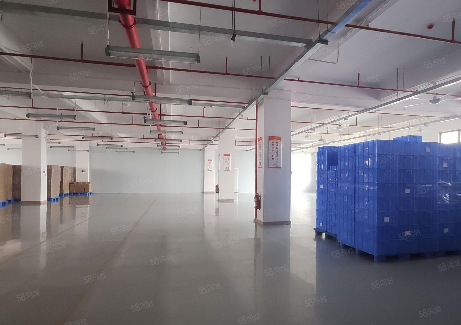 10元起惠阳沙田原房东红本5000平一楼厂房仓库出租可小污染