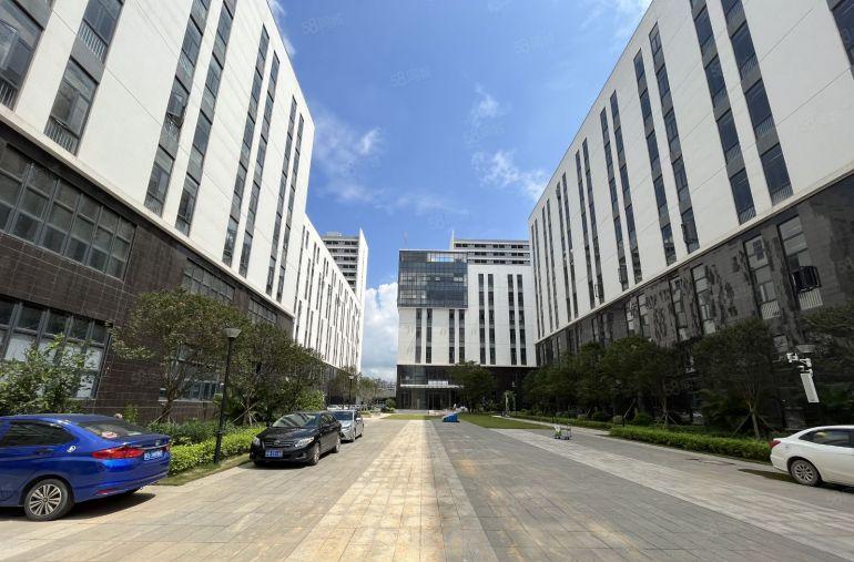 全新一手装修出租 开发商直租 所有配套齐全 12元起租