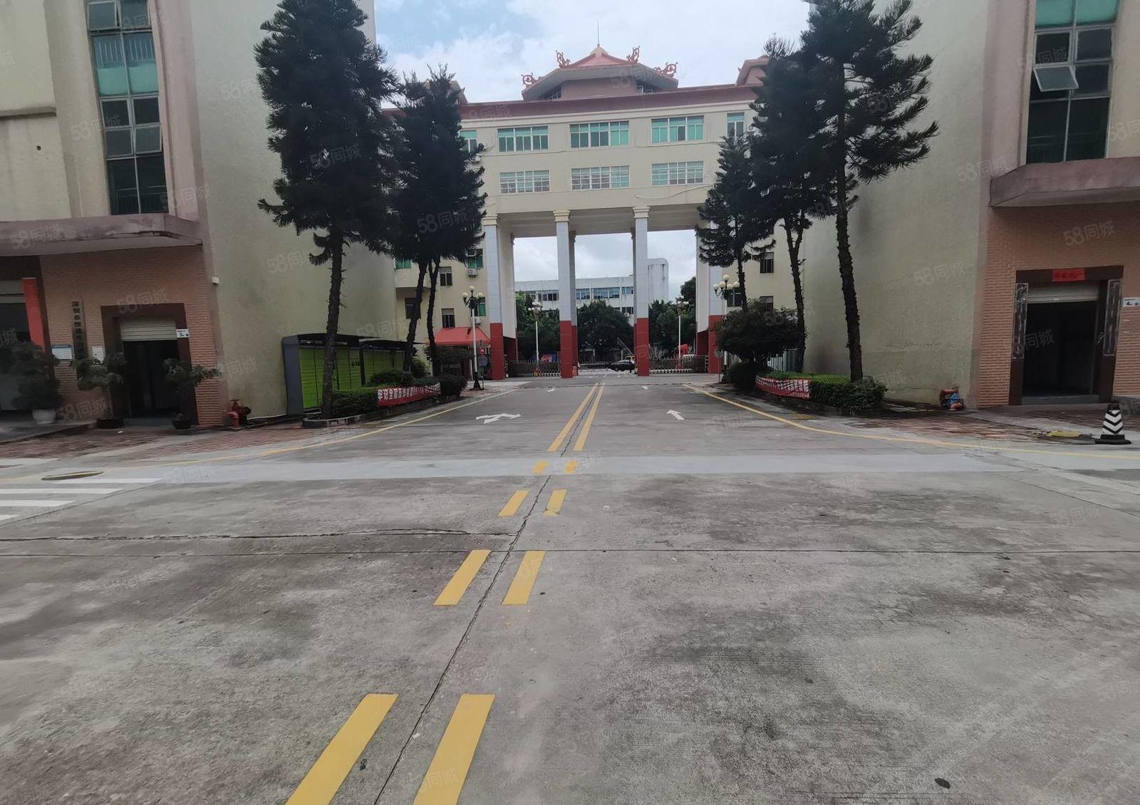 惠阳秋长白石8万平原房东工业园带装修厂房出租可分租一楼6米高