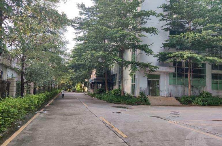 惠阳秋长白石新建标准厂房3000平出租带消防喷淋牛角层高7米