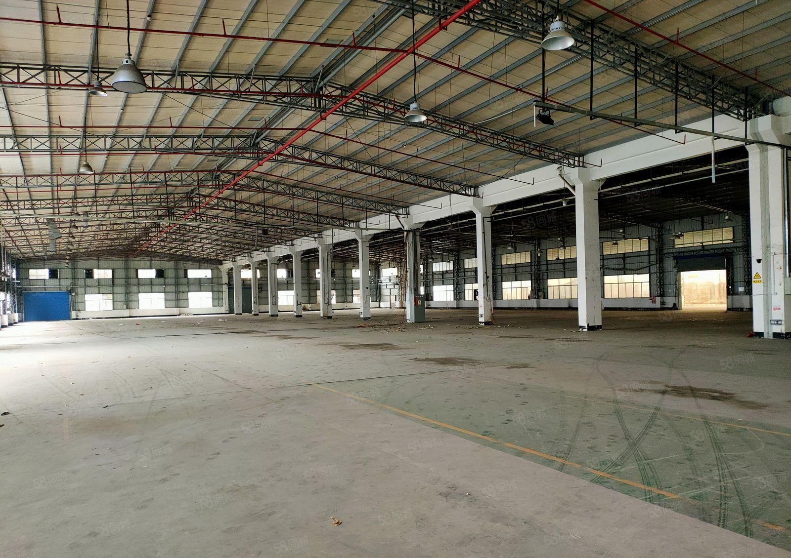 单一层钢结构10000平米出租，可整租或分租