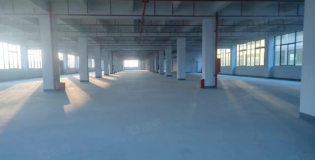 惠东县白花镇新出43000平标准厂房招租可整可分租