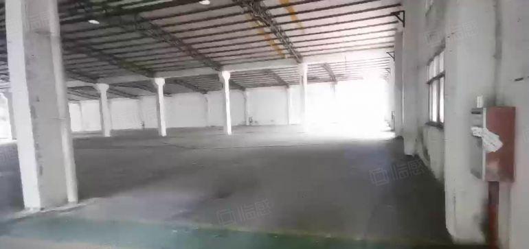 淡水东原房东独栋钢构厂房滴水7米无公摊低价打包出租