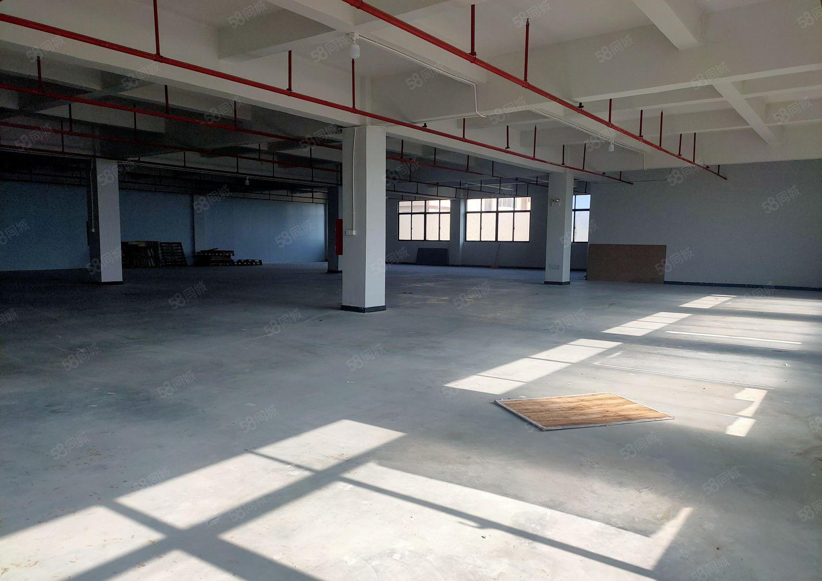 惠阳区新圩镇新空出1060平标准厂房可做喷油