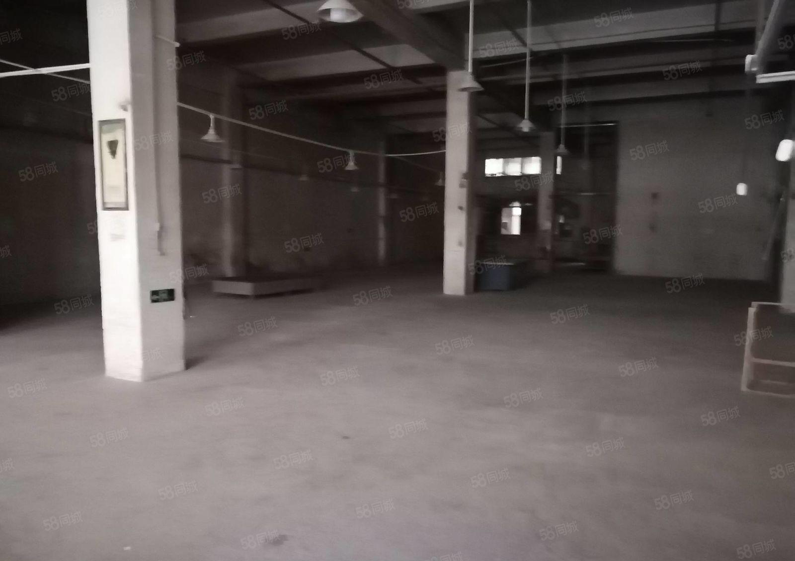 惠阳新出独门独院钢构单一层1900平方