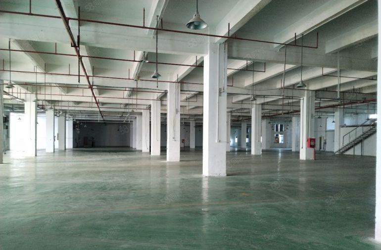 10元无公摊！新圩原房东9000平方红本厂房仓库出租可分租