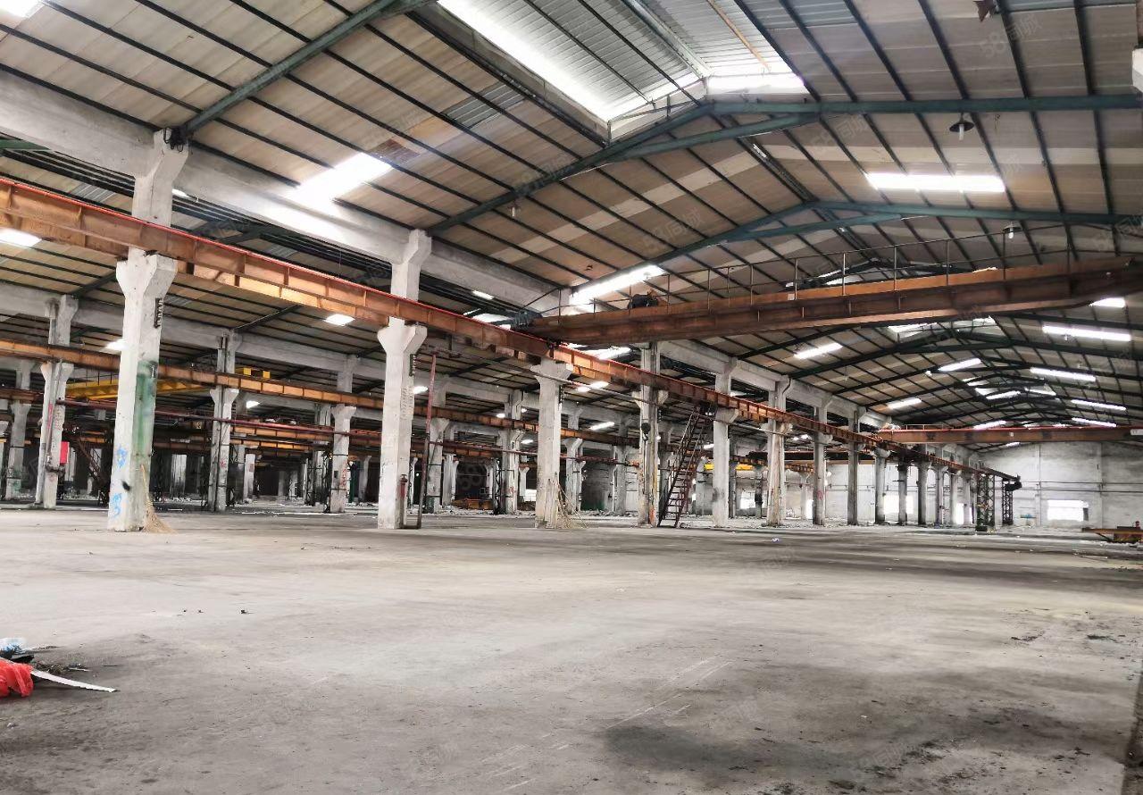 惠阳新圩高速口砖墙到顶钢构独院11090平滴水9米，空地超大