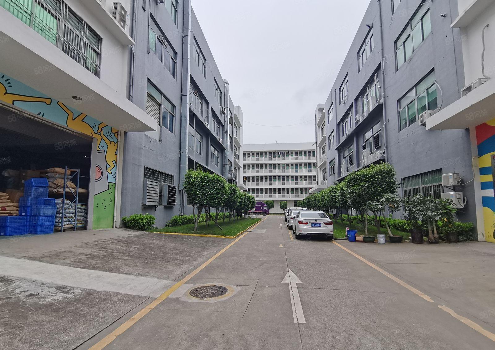 秋长茶园工业区原房东3000平厂房出租10元起800平起分租