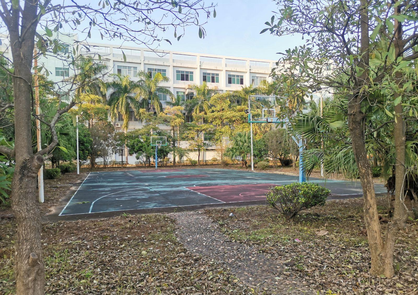 可做学校培训等上市公司形象独院厂房隆重招商