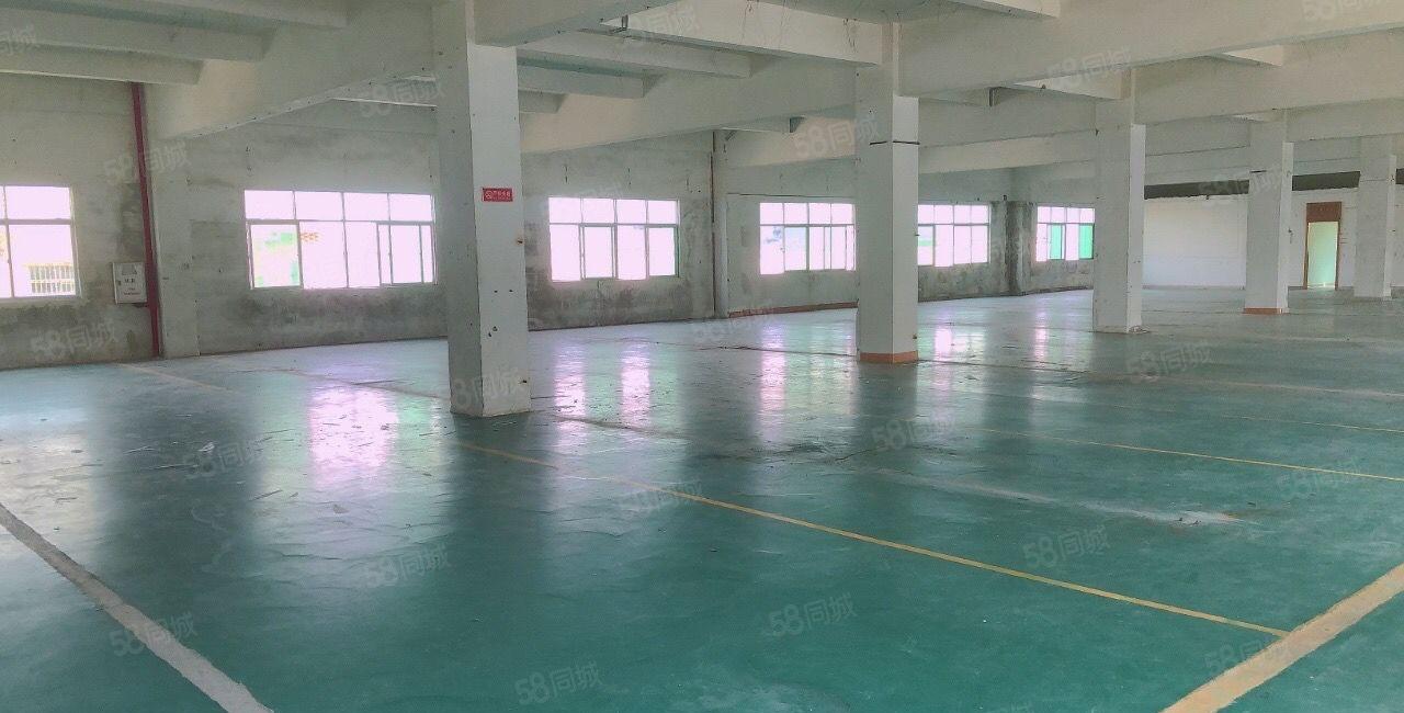 新圩长布原房东独院厂房5层5000平出租