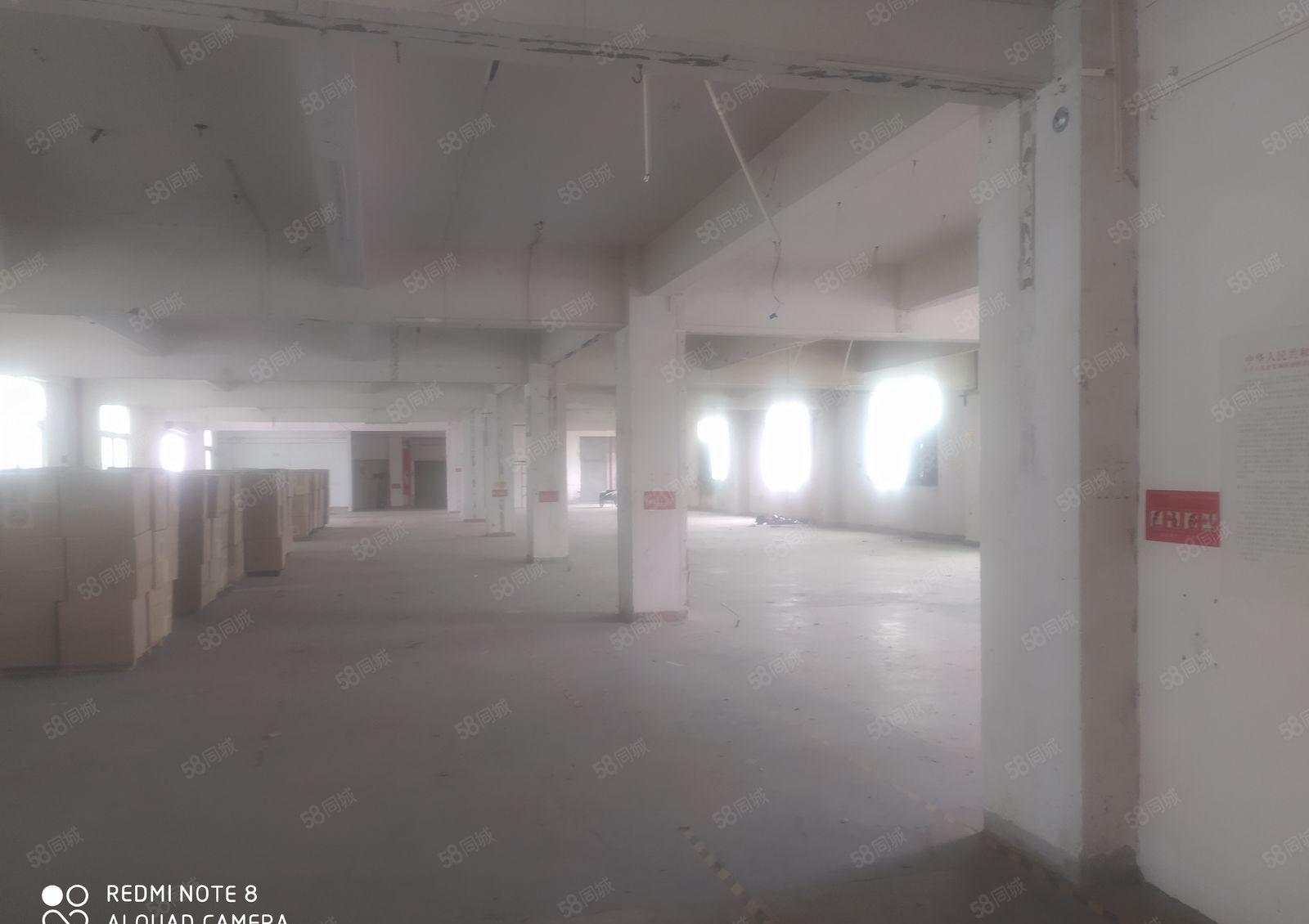 惠阳新圩新出原房东厂房分租一楼500平现成水电低价出租